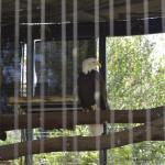 FITS_212 (May 04, 2019)